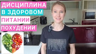 Дисциплина в здоровом питании и похудении. Как начать правильно питаться? Как развить дисциплину?