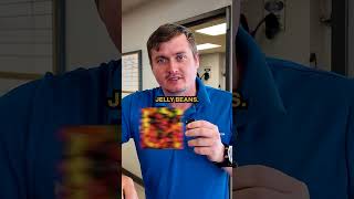 What's Your FAVORITE Easter Candy? 🐰🍬(Ford Dealership Edition) Net Worth