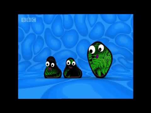 CBeebies Bugs - The Bugs Are Made Out Of Leaves