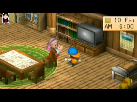 Cara Membuat Anak Di Harvest Moon Back To Nature