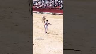 this is bull shit...am done here hahaha #bull #memes