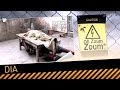 Oh Zoum Zoum Dia Vidéo Humour Oh Zoum Zoum Dia Vidéo Humour