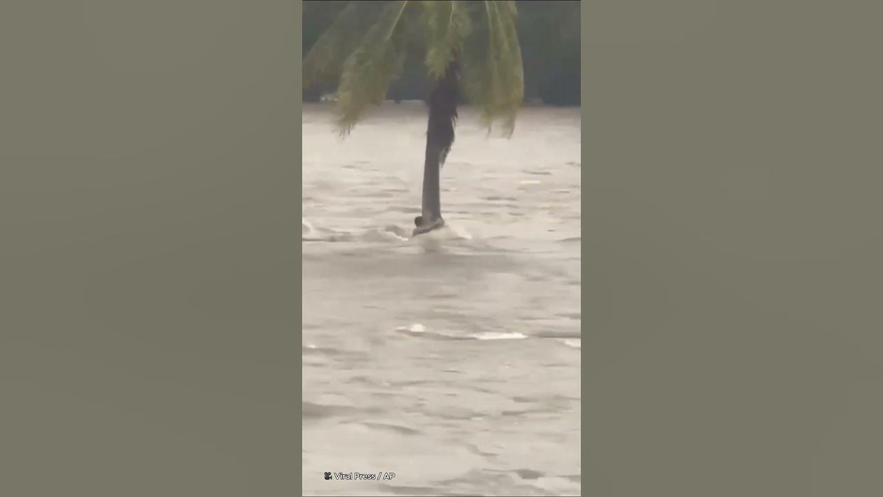 Villager clings for 12 hours to survive flood!