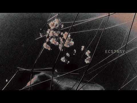 FRRST/NGTIVE - ECSTASY (Official Visualizer)