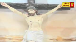 Villianur Lourdes Shrine Good Friday Mass LIVE - 30-03-2018