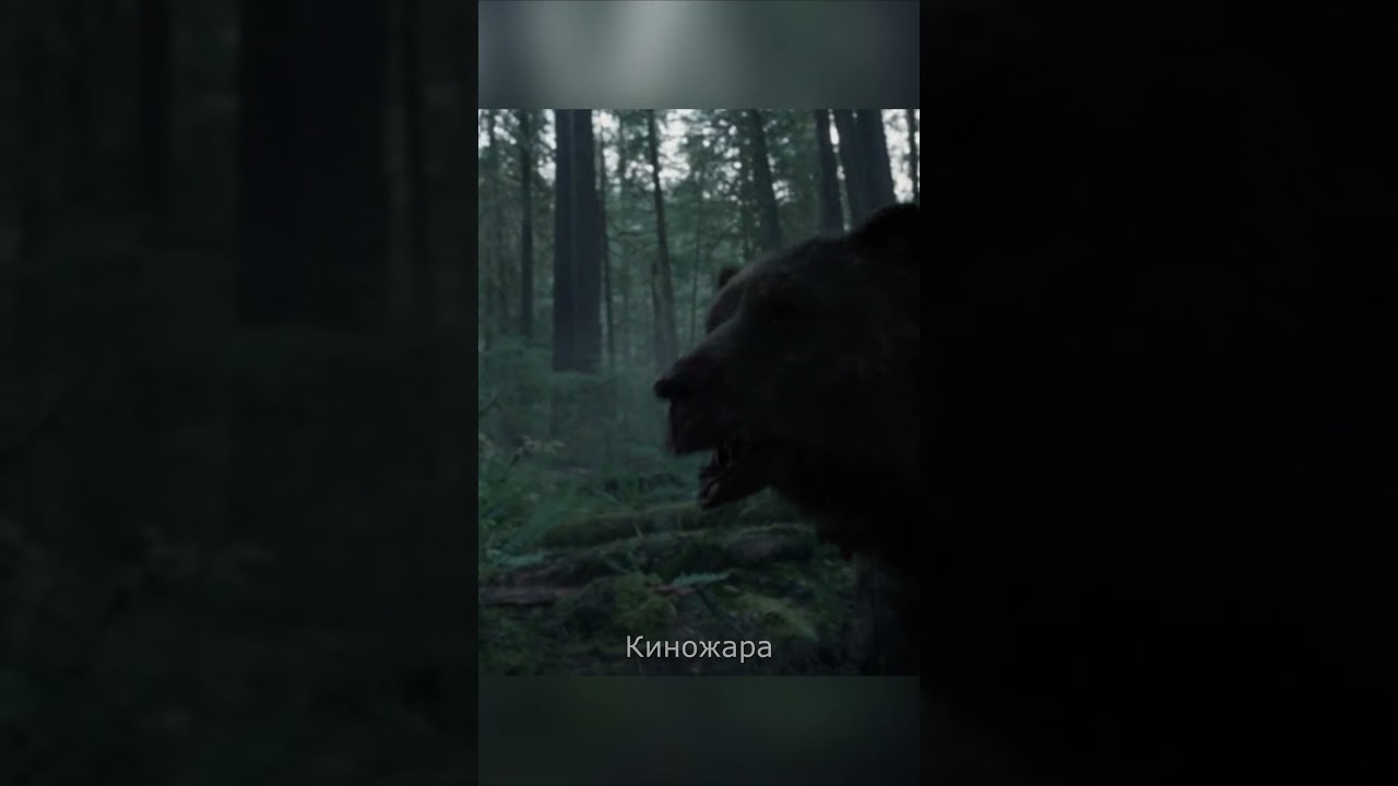 Выживший: Схватка с медведем 2 раунд