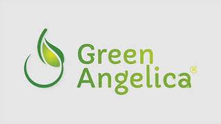 Green Angelica Penumbuh Rambut Pasti Combo 2