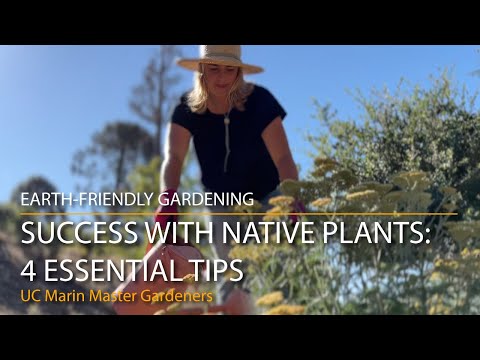 Videó: Mi az a natív növényiskola: tippek az őshonos növényiskola indításához