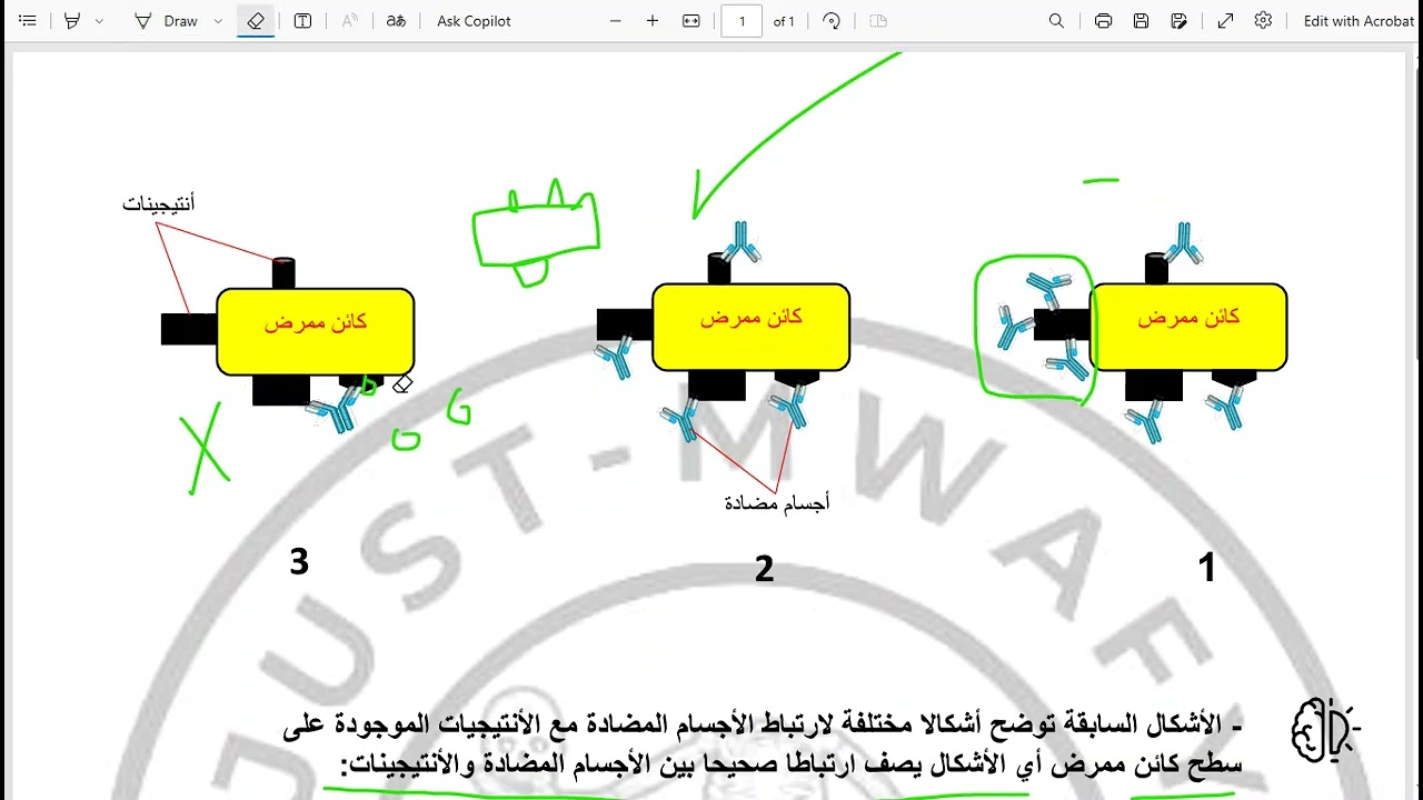 بص العصفورة (13) ملاحظة مستخبية في الكتاب المدرسي بيين السطور على الأجسام المضادة والأنتيجينات