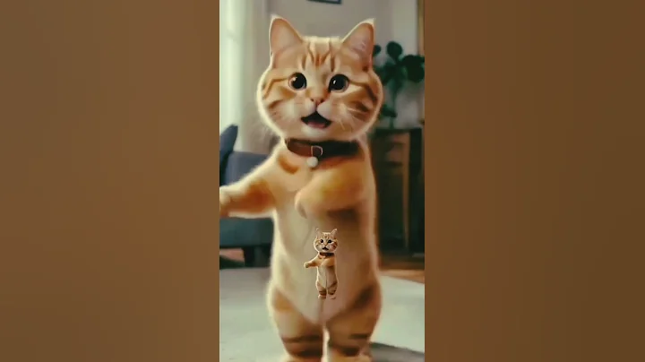 Video 8631611: cat funny dance, funnycatvideos cute