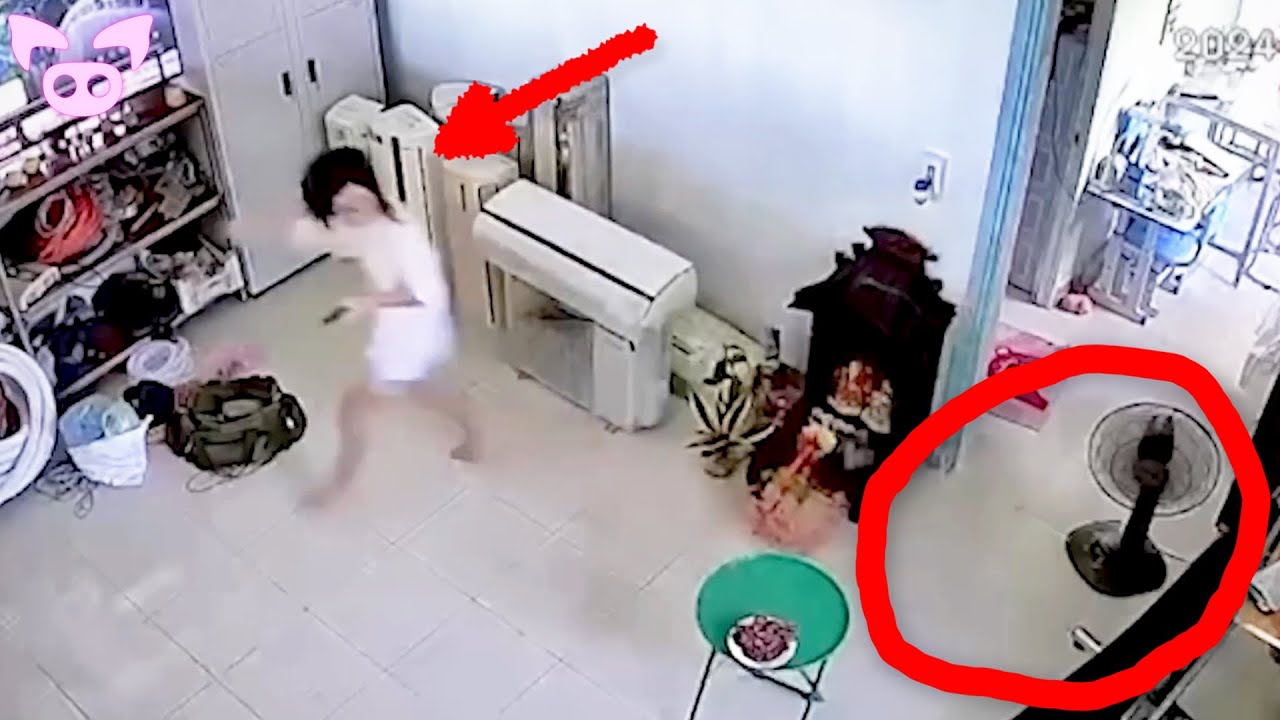 The Internet Wasn’t Prepared for This Terrifying Video
