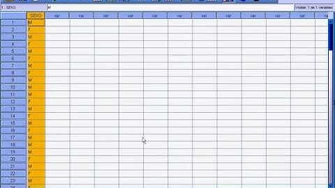 SPSS Gráficos de una variable cualitativa
