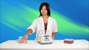 How to use the BeadBug Microtube Homogenizer for Cell Lysis