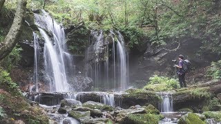 渓谷を進んだ先に突然現れる神秘の滝をついに見つけました。