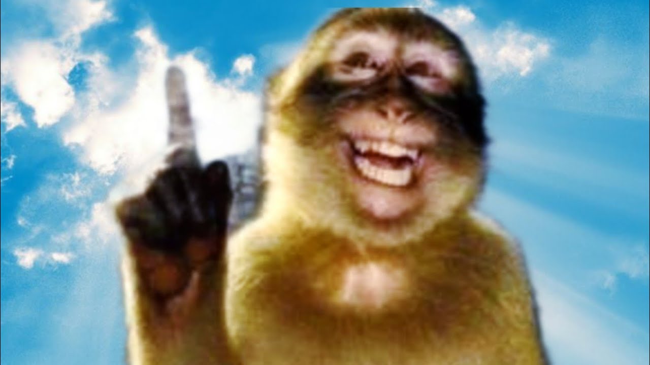 Monkey Core Part 6 (Absolute Brainrot🧠)