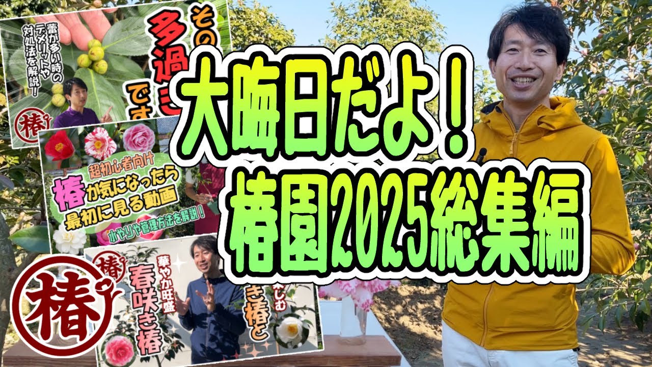 大晦日だよ椿園！2025総集編｜初心者🔰OK！厳選5本を一気見