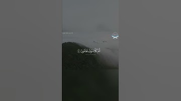 #سورة_التكاثر  بترتيل مؤثر للشيخ #خالد_الجليل  #تلاوات #القرآن #القرآن_الكريم #حالات_واتس #quran