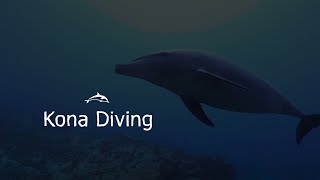Kona Diving