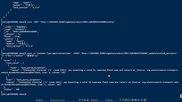 好程序员大数据教程：25 ES版本控制