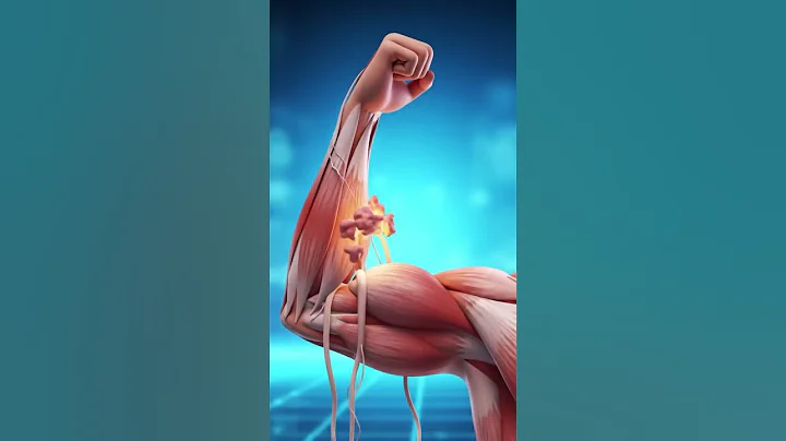 How Muscles Actually Grow💪