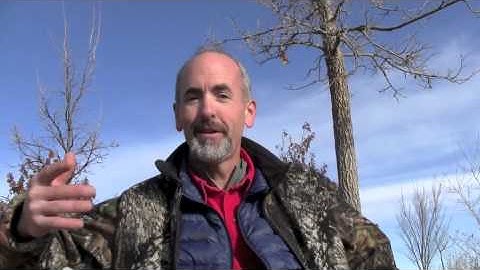 How BioHaven Floating Islands work:  growing 