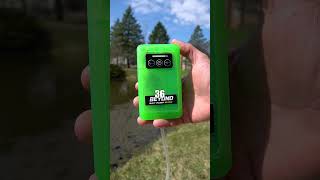 Don’t Fish With Dead Bait #Fishing #FishingVideos #FishingContent