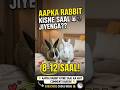 ​🐰 Aapka Rabbit Kitne Saal Jiyega?The Truth About Rabbit Lifespan! #rabbit #bunny #shorts