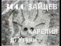 Карелия/Начало/ Заброшенный участок. Ещё один вариант под дачу