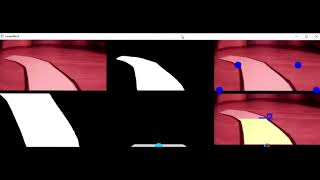 Inside the brain of my Self-Driving car, with Python OpenCV, Raspberry Pi. Camera view.
