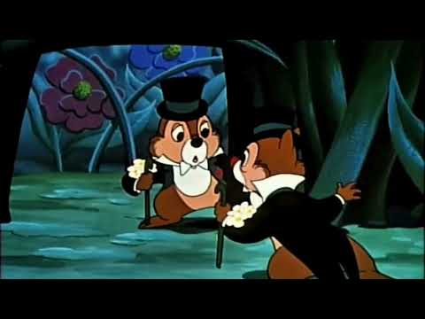 Chip vs Dale Fighting For Clarice's Heart!