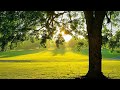 Relaxing music 24/7, Ash Grove Missouri, AG Pirates, Ozarks