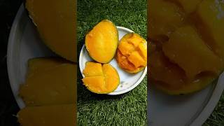 পাকা আম😋😋#shorts#viralshorts#fruit#paka amm