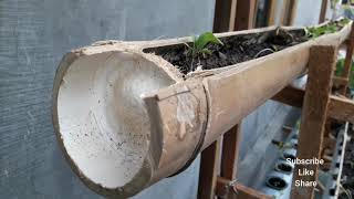 Pot Bambu Untuk Berkebun Mini