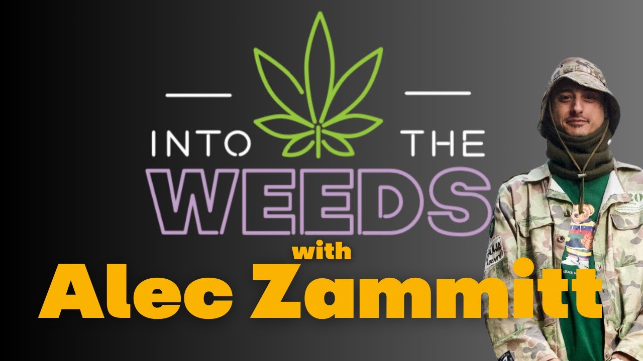 ⁣Into the Weeds with Alec Zammitt | Cannabis Activism & Reform in Australia