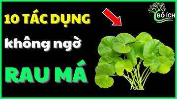 10 Lợi Ích Thần Kì Của Rau Má Chữa Được 10 Căn Bệnh Thường Gặp Nhất - kênh sức khoẻ bổ ích