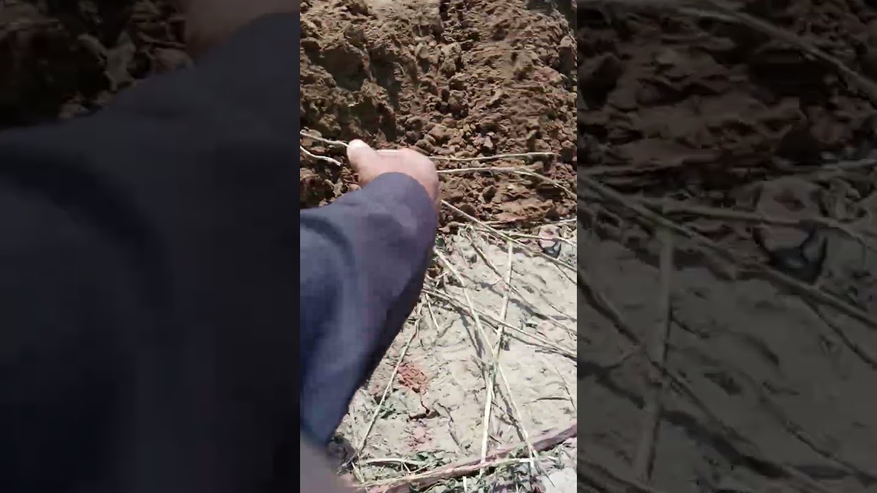 land mafia gaurav gupta grabbing land in sanganer and police is supporting mafia