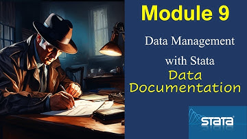 #Stata best practices : Data Documentation