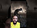 بقايا الاشجار العملاقة ومناجم الارض  نجومي