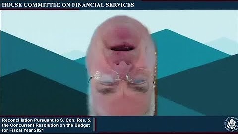 Congressman Tom Emmer appears upside down on Zoom hearing