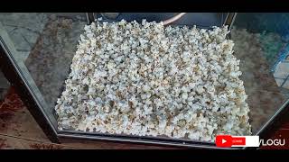 How a popcorn seller is making millions in kibra