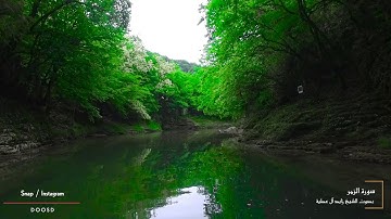 قل ياعبادي الذين آسرفو على انفسهم | ما تيسر من سورة الزمر | القارئ زايد العطية