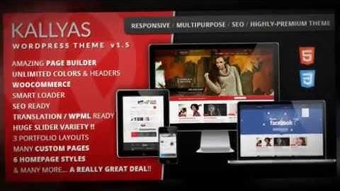 KALLYAS - Responsive Multi-Purpose WordPress Theme + Download