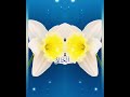 ASMA UL HUSNA 💕🌟🌸 #shorts #shortsfeed #nature #viral  #trendingshorts  #shortsfeed #shorts #trending