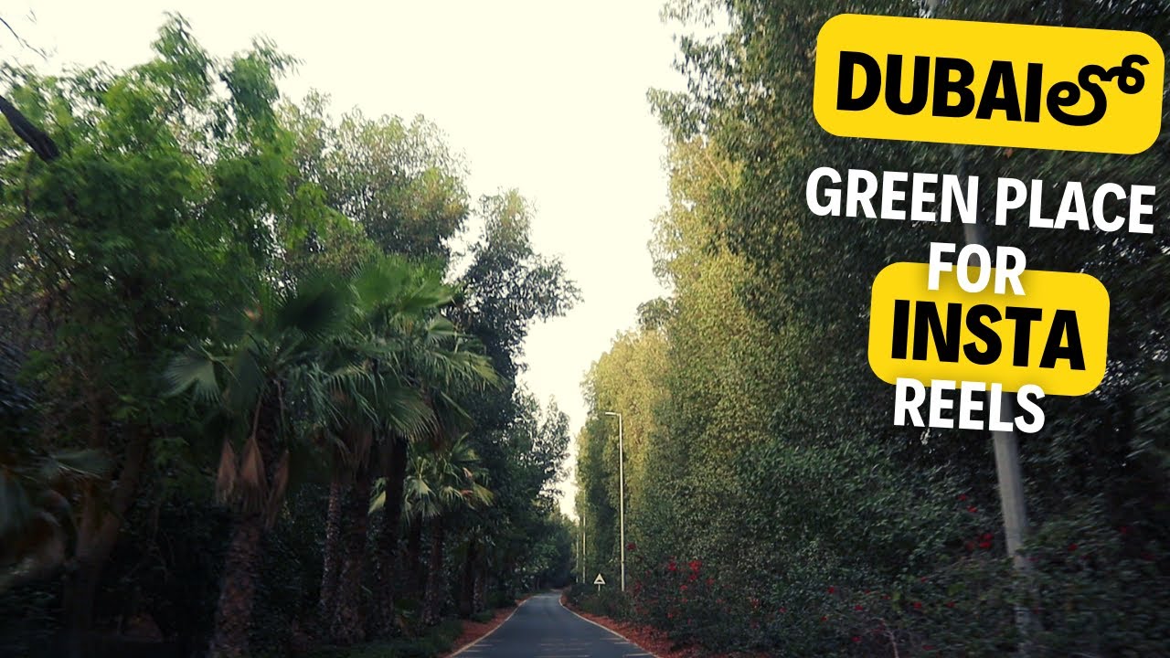 BEST INSTAGRAM SPOTS IN DUBAI AL BARARI