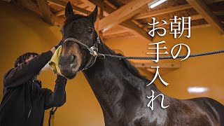 タニノギムレットら名馬たちの朝の手入れの様子｜ヴェルサイユリゾートファーム