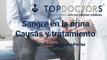 ¿Dónde se filtra la sangre sucia en nuestro cuerpo?