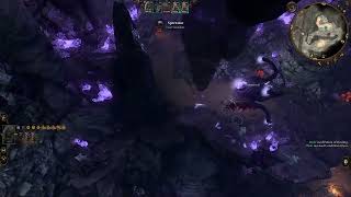 Spectator just has to take it - Solo bladesinger guide