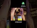 Australia pavilion Osaka Expo 2025  #osakaexpo #worldsfair