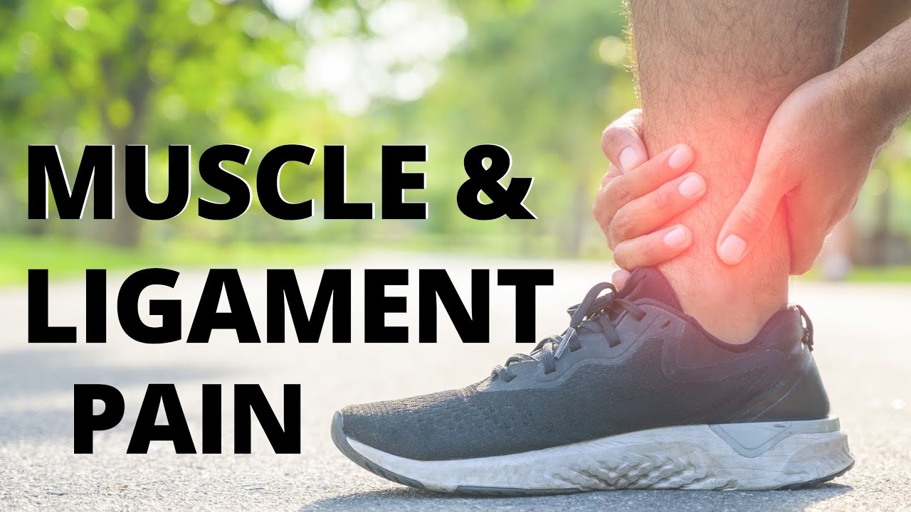 Natural Support for Sore Muscles, Tendons & Ligaments YouTube