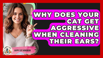 Why Does Your Cat Get Aggressive When Cleaning Their Ears? - Happy Cat Handbook